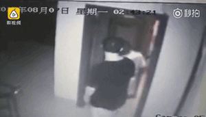1560993638495339.gif 微信圖片_20190620090447.gif