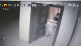 1560993665695675.gif 微信圖片_20190620090451.gif