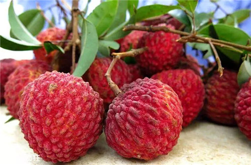 1562633213380241.jpg 微信圖片_20190709083906.jpg