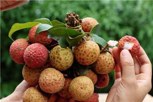 1562633430973263.jpg 微信圖片_20190709083913.jpg