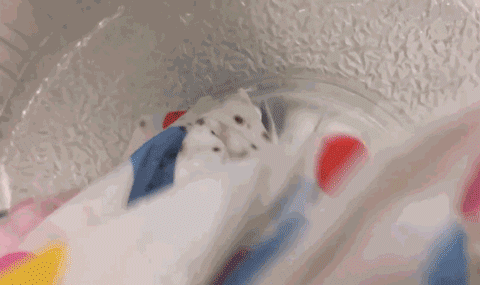 1563160206372376.gif 微信圖片_20190715095442.gif