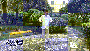 1564395078895851.gif 微信圖片_20190729180536.gif