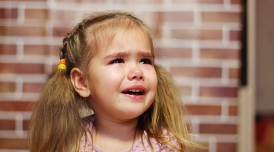 1565225436508318.jpg 微信圖片_20190808084926.jpg