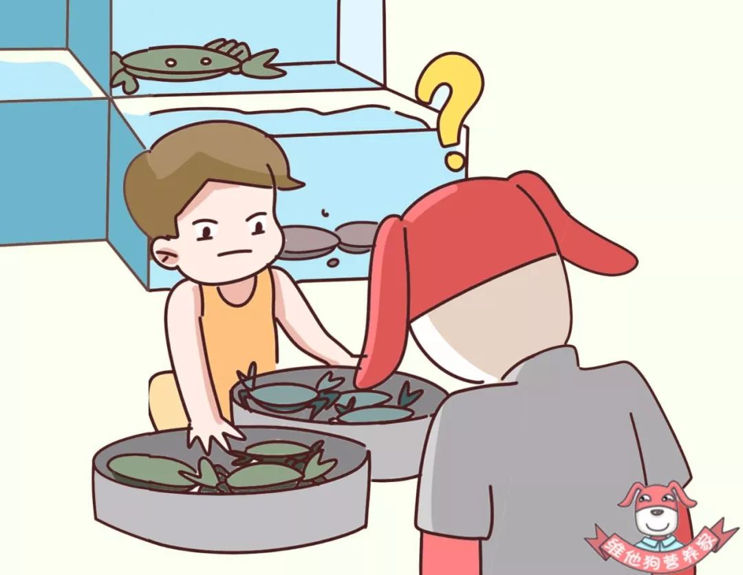 1569749768159085.jpg 微信圖片_20190929172600.jpg