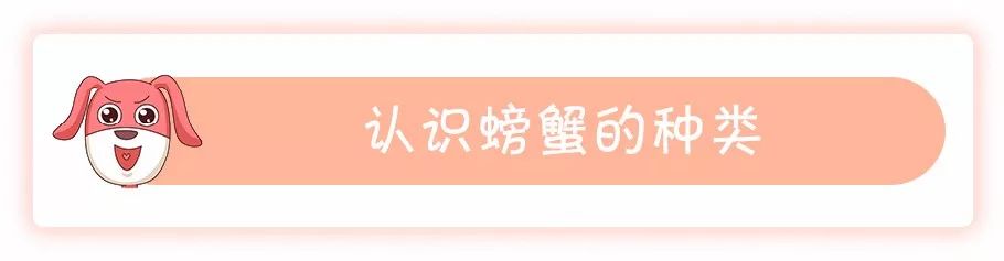 1569749845904629.jpg 微信圖片_20190929172619.jpg