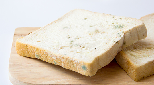 1570167542244985.jpg 微信圖片_20191004133623.jpg